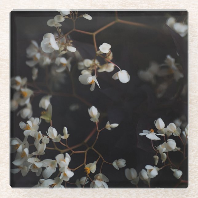 Posavasos De Vidrio White moody flowers on dark background (Anverso)