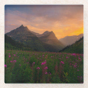 Posavasos De Vidrio Wildflowers del glaciar