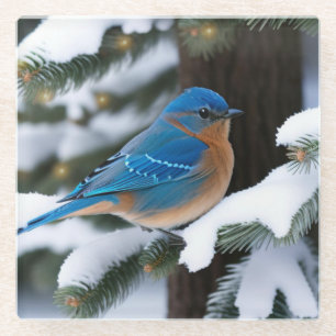 Posavasos De Vidrio Winter Bluebird