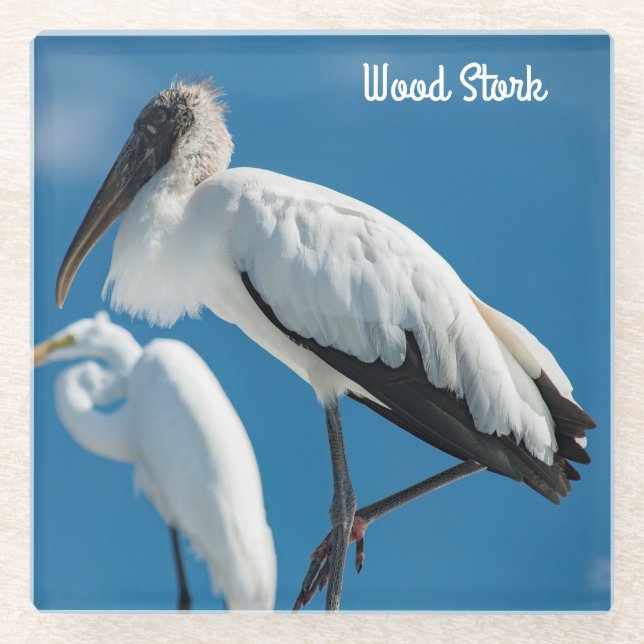 Posavasos De Vidrio Wood Stork (Anverso)