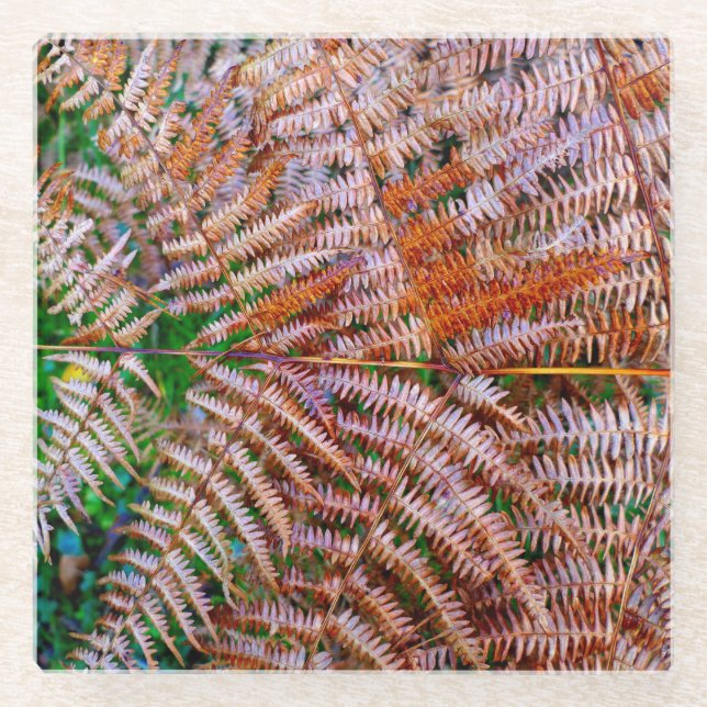 Posavasos De Vidrio Woodland Ferns (Anverso)