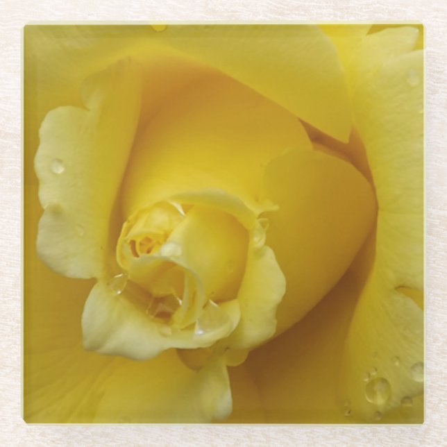 Posavasos De Vidrio Yellow Rose Glass Coaster (Anverso)