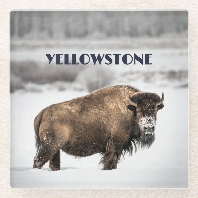 Posavasos De Vidrio Yellowstone Snowowo Buffalo Souvenir Glass Coaster (Anverso)