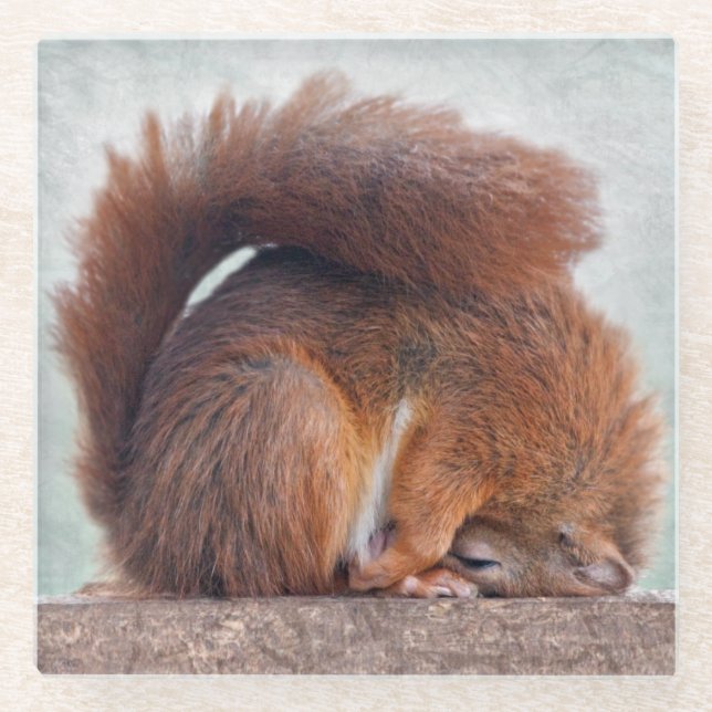 Posavasos De Vidrio Yoga Squirrel Glass Coaster (Anverso)