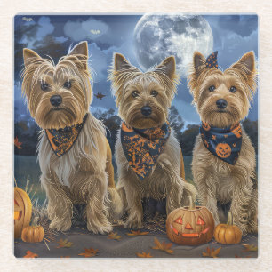 Posavasos De Vidrio Yorkipoo Halloween Espeluznante