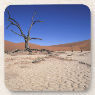 Posavasos Dead Vlei, Sossusvlei, Parque Nacional Namib-Naukl