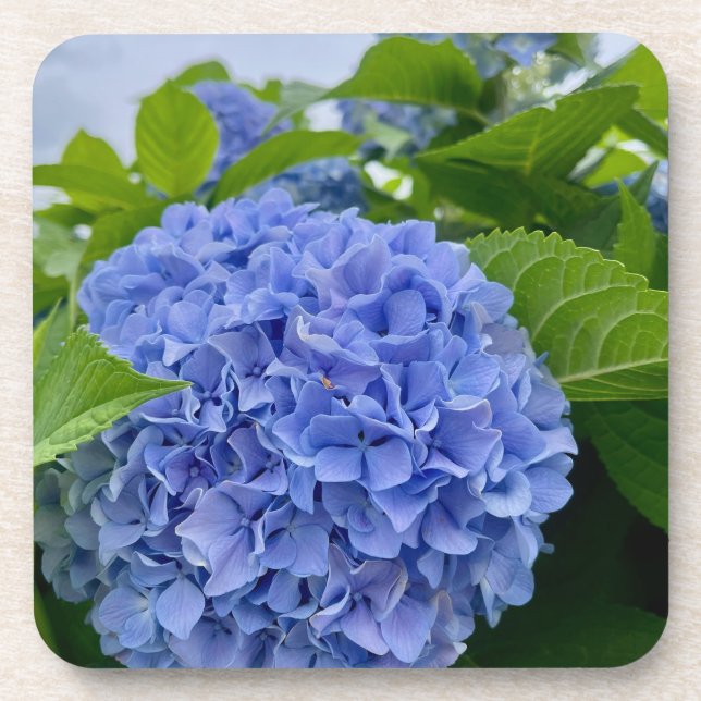 Posavasos Deanna Day Hydrangea Coaster (Frente)