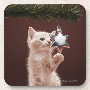 Posavasos Decoración pawing del navidad del gatito en árbo