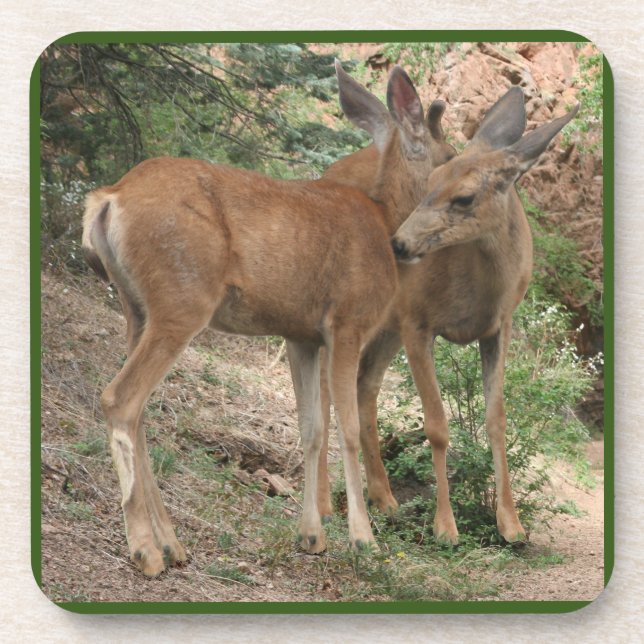 Posavasos Deer Hugging (Frente)