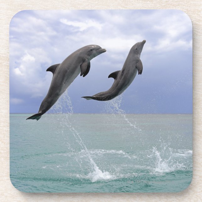 Posavasos Delfin (un Tuemmler más grueso) (Frente)
