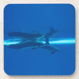 Posavasos Delfines y reflexiones