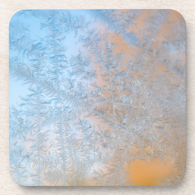 Posavasos Delicado patrón de escarcha, Wisconsin (Frente)