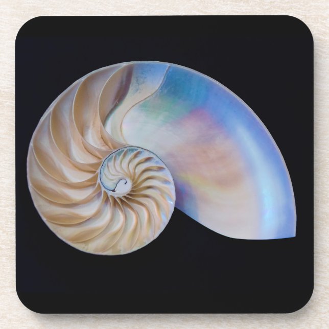 Posavasos Dentro Del Nautilus (Frente)