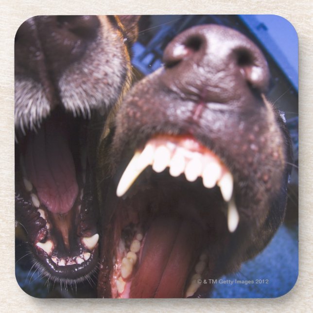 Posavasos Descortezamiento de los perros (Frente)