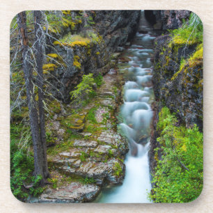 Posavasos Desfiladero Sunrift en Glacier National Park, Mont