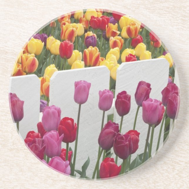 Posavasos Desfile del solsticio Fremont (Frente)