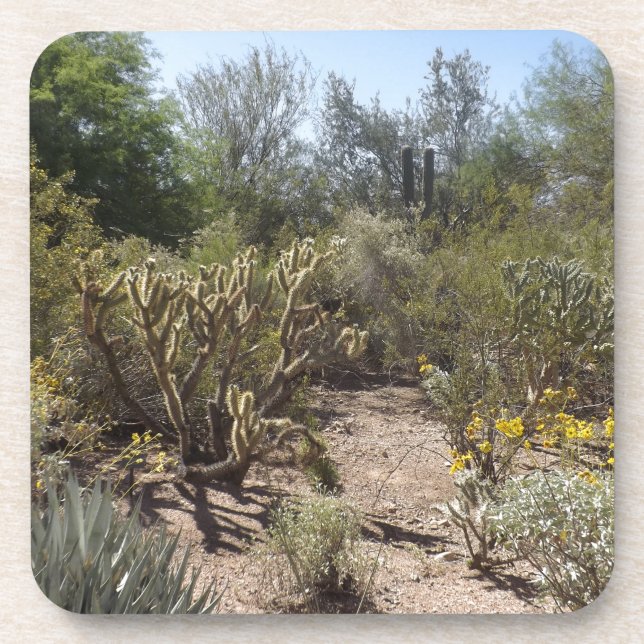 Posavasos Desierto (Frente)