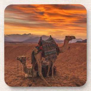 Posavasos Desiertos Duna de arena de camello de Egipto