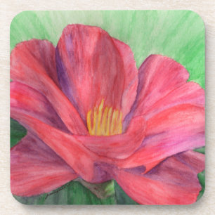 Posavasos Despliegue de los soportes