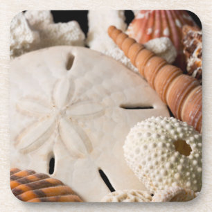 Posavasos Detalle de Conchas Marinas de Todo el Mundo