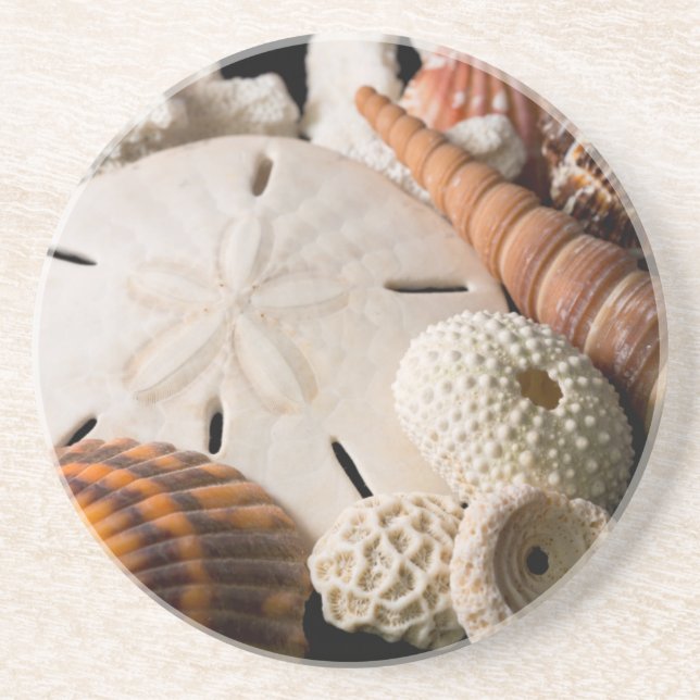 Posavasos Detalle De Conchas Marinas De Todo El Mundo (Frente)