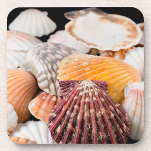 Posavasos Detalle De Conchas Marinas De Todo El Mundo 2