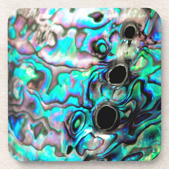 Posavasos Detalle de la naturaleza de las conchas marinas de (Frente)