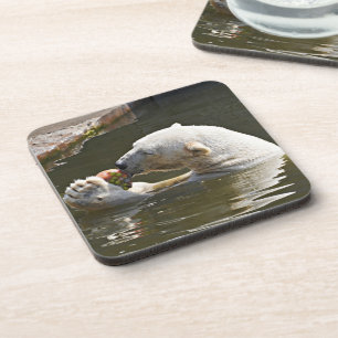 Posavasos Detalle de oso polar comiendo fruta