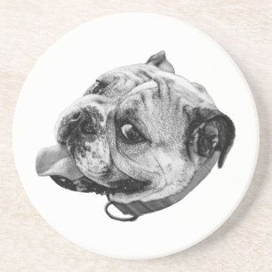 Posavasos Detalle sutil de mascota