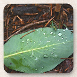 Posavasos Dew Dappling Leaf