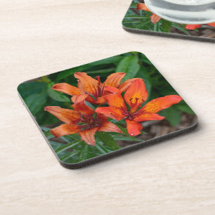 Posavasos Día de Lirio Amarillo Naranja Fotografía de Flores