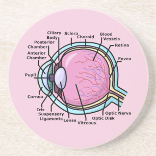 Posavasos Diagrama ocular