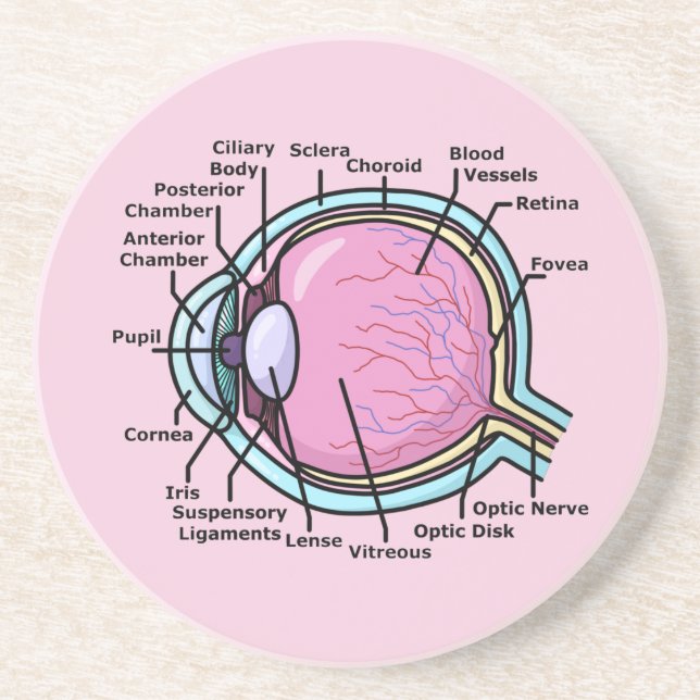 Posavasos Diagrama ocular (Frente)