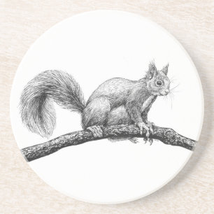 Posavasos Dibujo de ardillas
