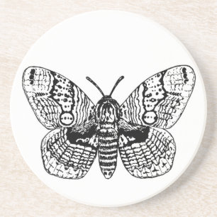 Posavasos Dibujo de moscas brahmanas