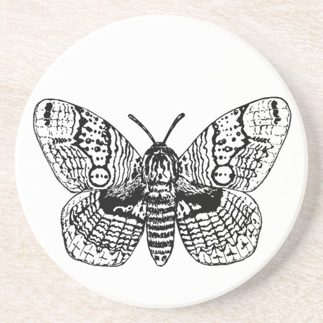 Posavasos Dibujo de moscas brahmanas (Frente)