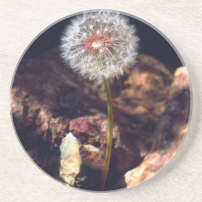 Posavasos Diente de león (Frente)