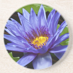 Posavasos Diseño Botánico Floral de Nenúfar Tropical