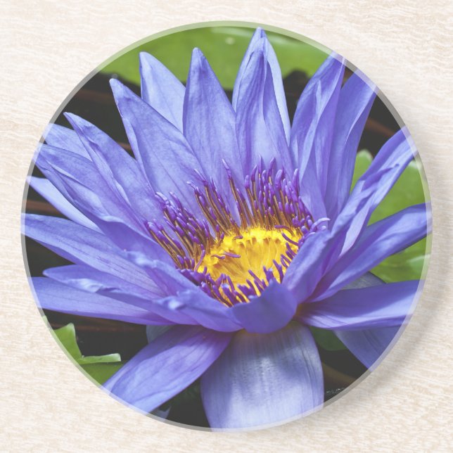 Posavasos Diseño Botánico Floral de Nenúfar Tropical (Frente)