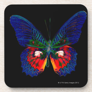 Posavasos Diseño colorido de la mariposa contra el contexto