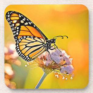 Posavasos Diseño de cierre de mariposa majestuosa