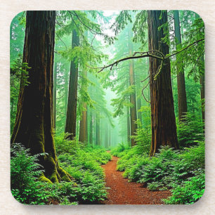 Posavasos Diseño de maleza de bosque de secuoya