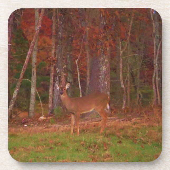 Posavasos Doe a Deer in Lake Arrowhead (Frente)