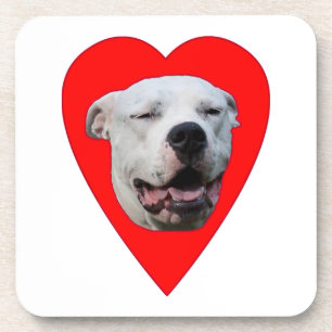 Posavasos Dogo Argentino sonriente