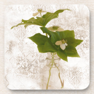 Posavasos Dogwood Bunch Berry texturizado en Jar Still Life