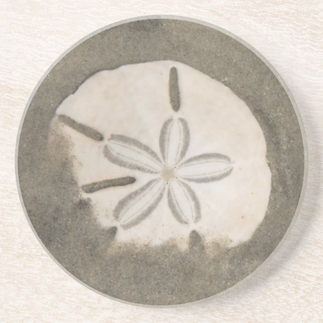 Posavasos Dólar de arena (Echinarachnius parma) (Frente)