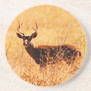 Posavasos Dólar de Blacktail