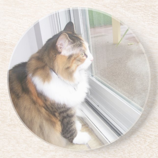 Posavasos Dolly the Cat Coaster (Frente)