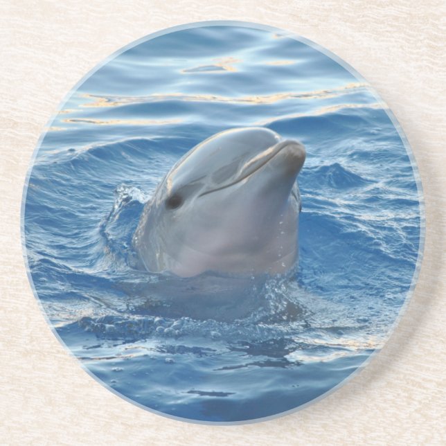 Posavasos Dolphin (Frente)