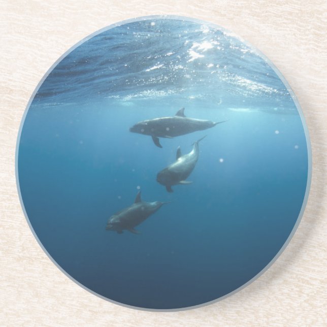Posavasos Dolphin Family Underwater (Frente)